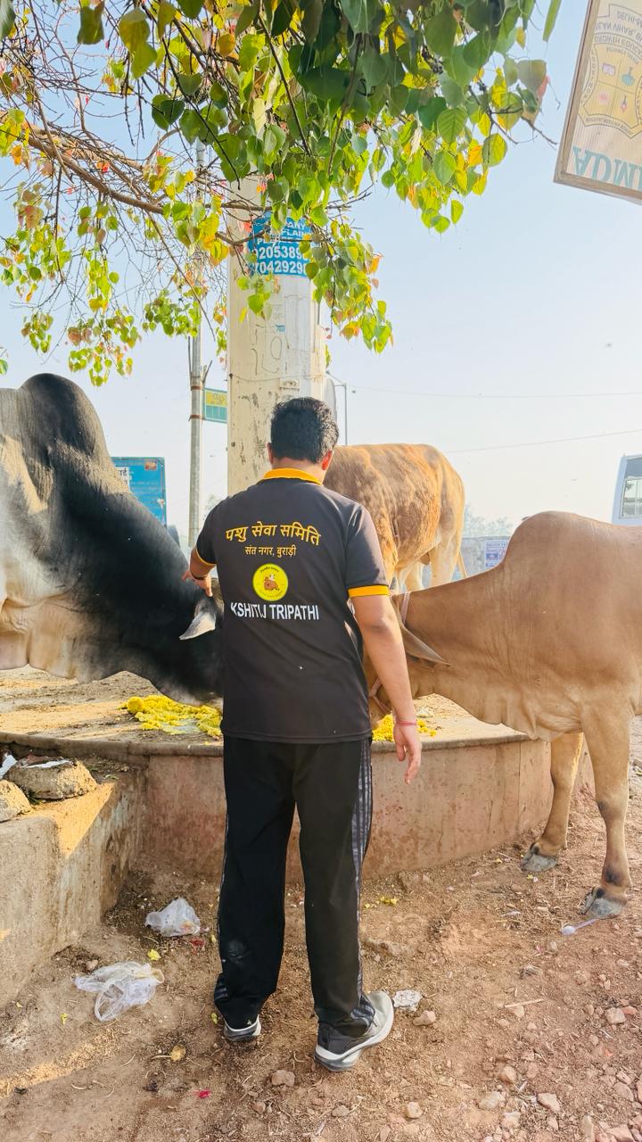 Pashu Sewa Samiti weekly cow feeding point