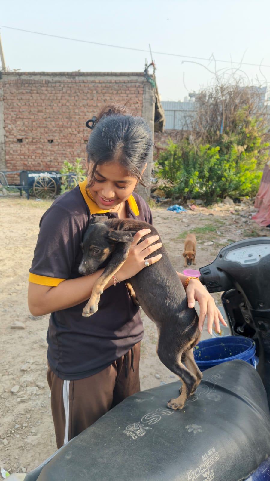 Pashu Sewa Samiti volunteer caring for a street dog